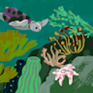 Meet your Posher, Gata